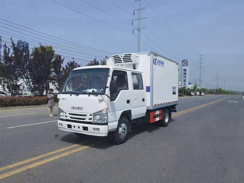 石家庄跃进柴油版3米3冷冻车 高效环保的冷链运输选择
